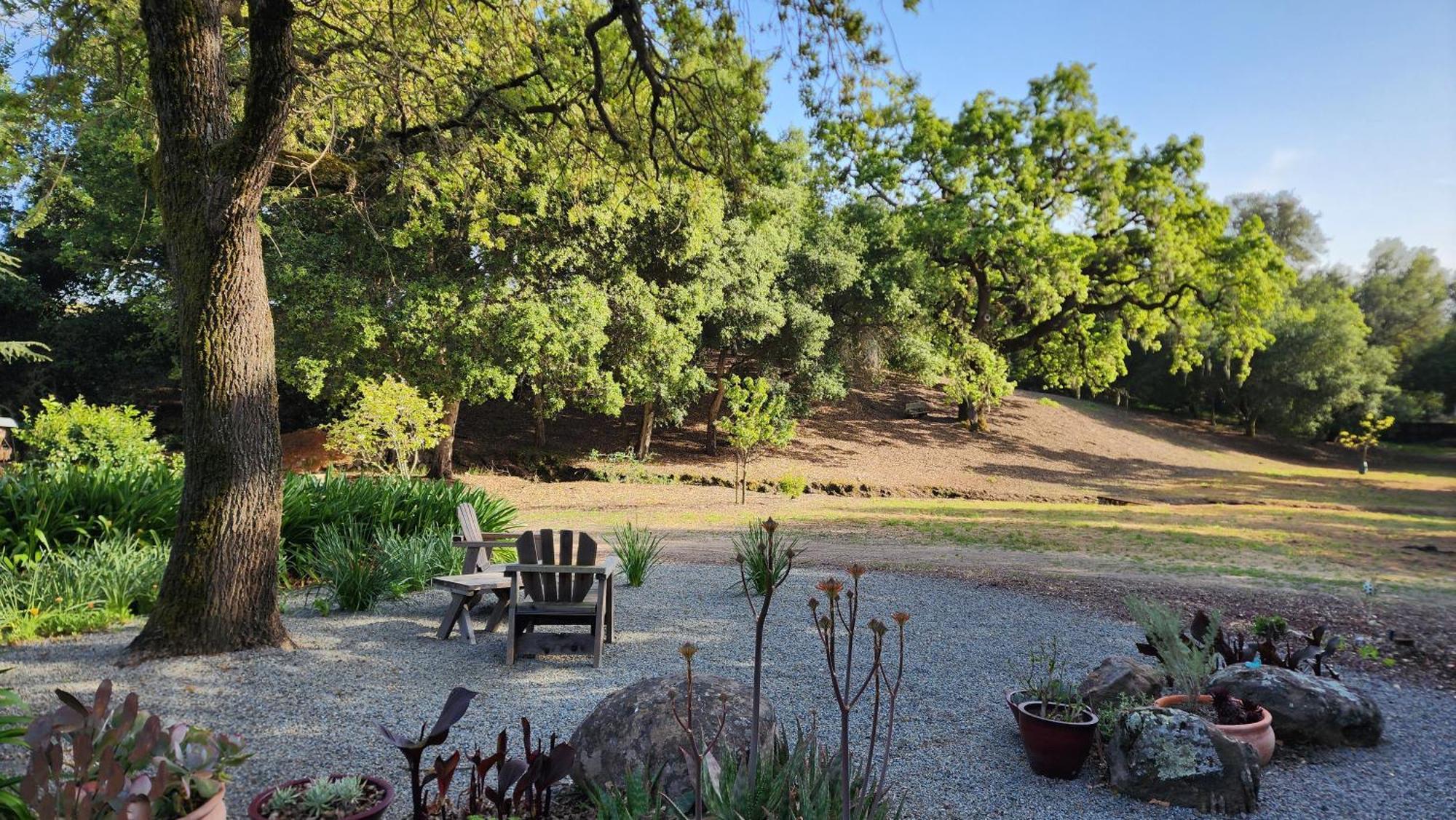 Amitabha Wine Country Cottage Санта-Роза Экстерьер фото
